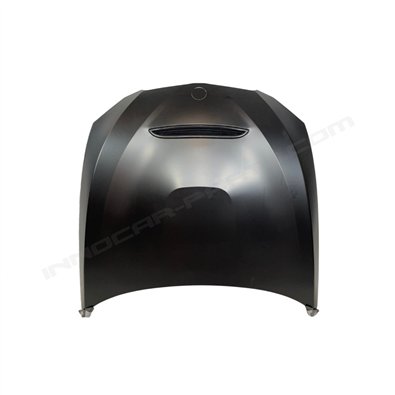 CAPÓ METAL BMW SERIE 3 E92/E93 LCI