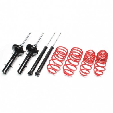 SUSPENSIÓN DEPORTIVA TA TECHNIX PEUGEOT 306