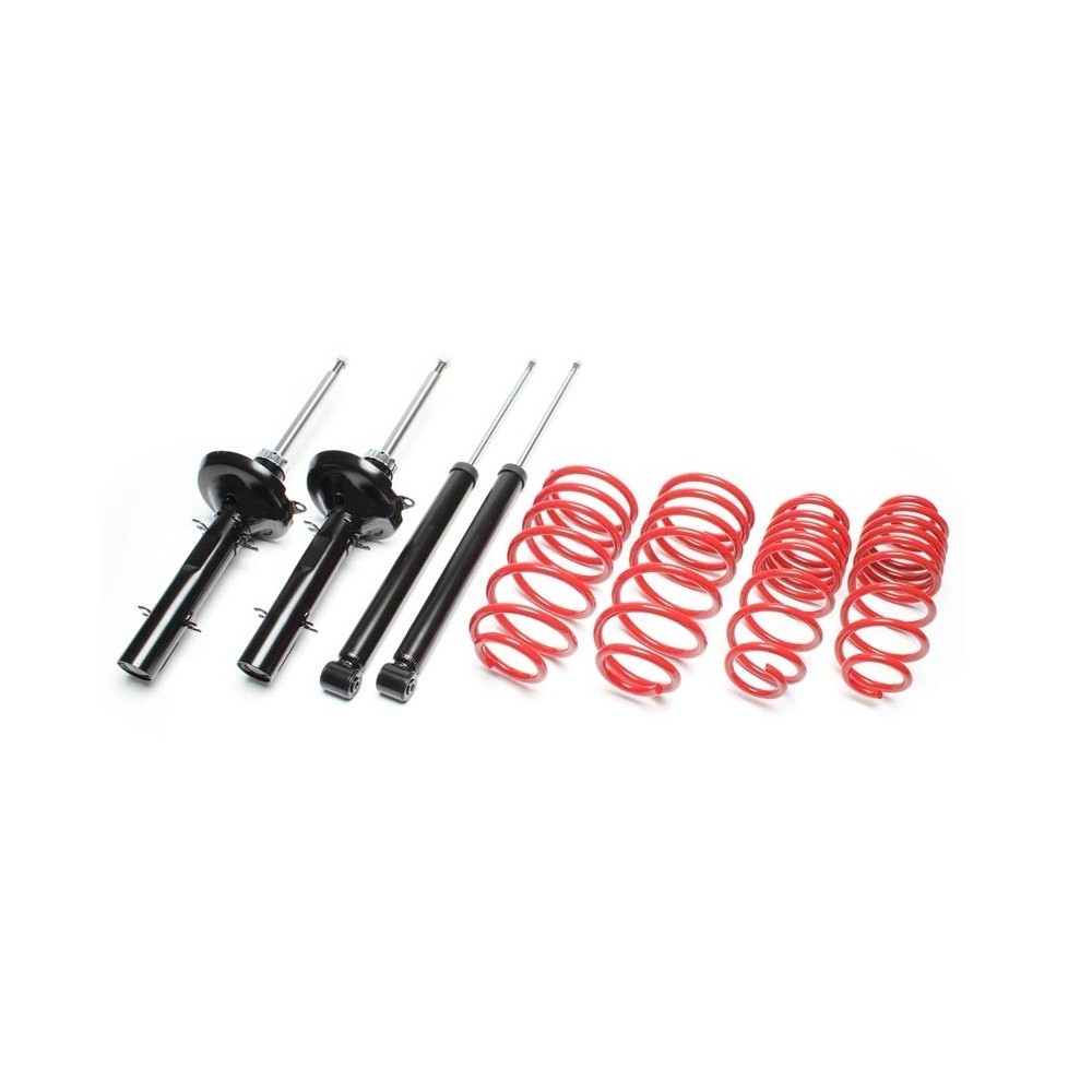 SUSPENSIÓN DEPORTIVA TA TECHNIX PEUGEOT 306