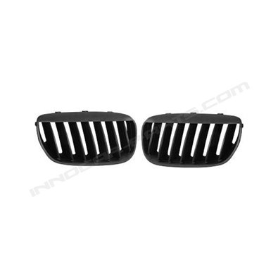 PARRILLAS LOOK PERFORMANCE BMW X5 (03-07)