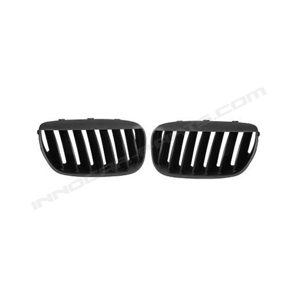 PARRILLAS LOOK PERFORMANCE BMW X5 (03-07)