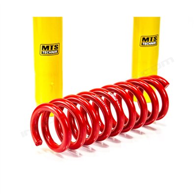 SUSP. DEPORTIVA MTS TECHNIK-EIBACH BMW SERIE 3