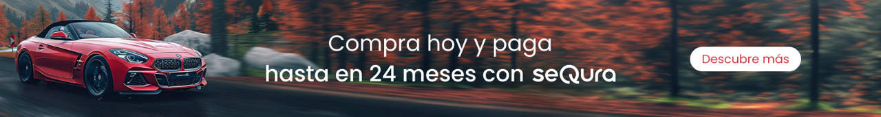 Pago fraccionado