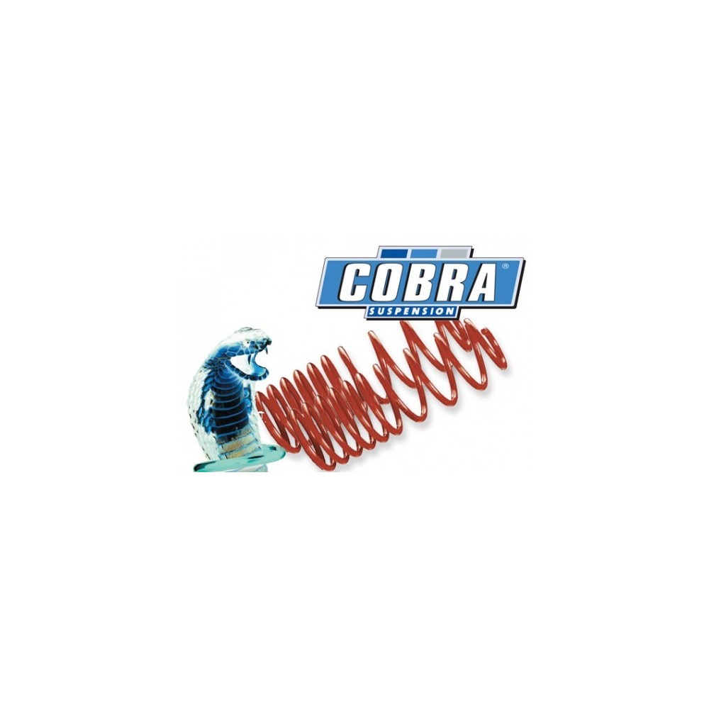 MUELLES COBRA SERIE 3 E46