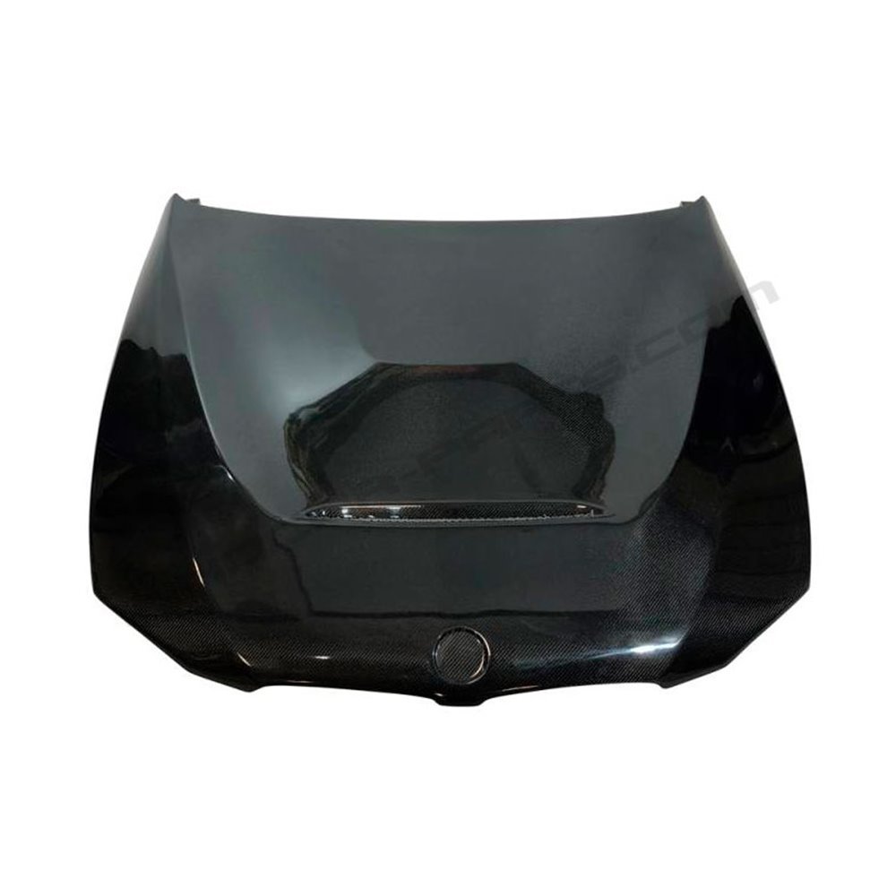 CAPÓ CARBONO LOOK GTS BMW SERIE 3 E92/E93 (06-09)