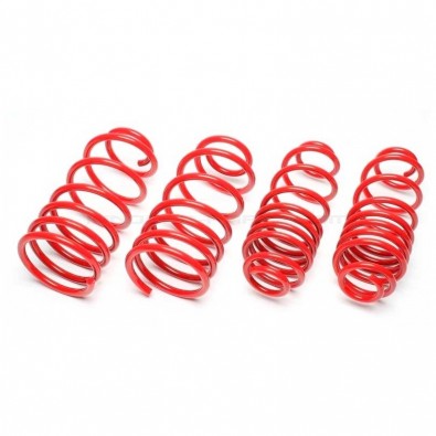 MUELLES DEPORTIVOS TA TECHNIX PEUGEOT RCZ